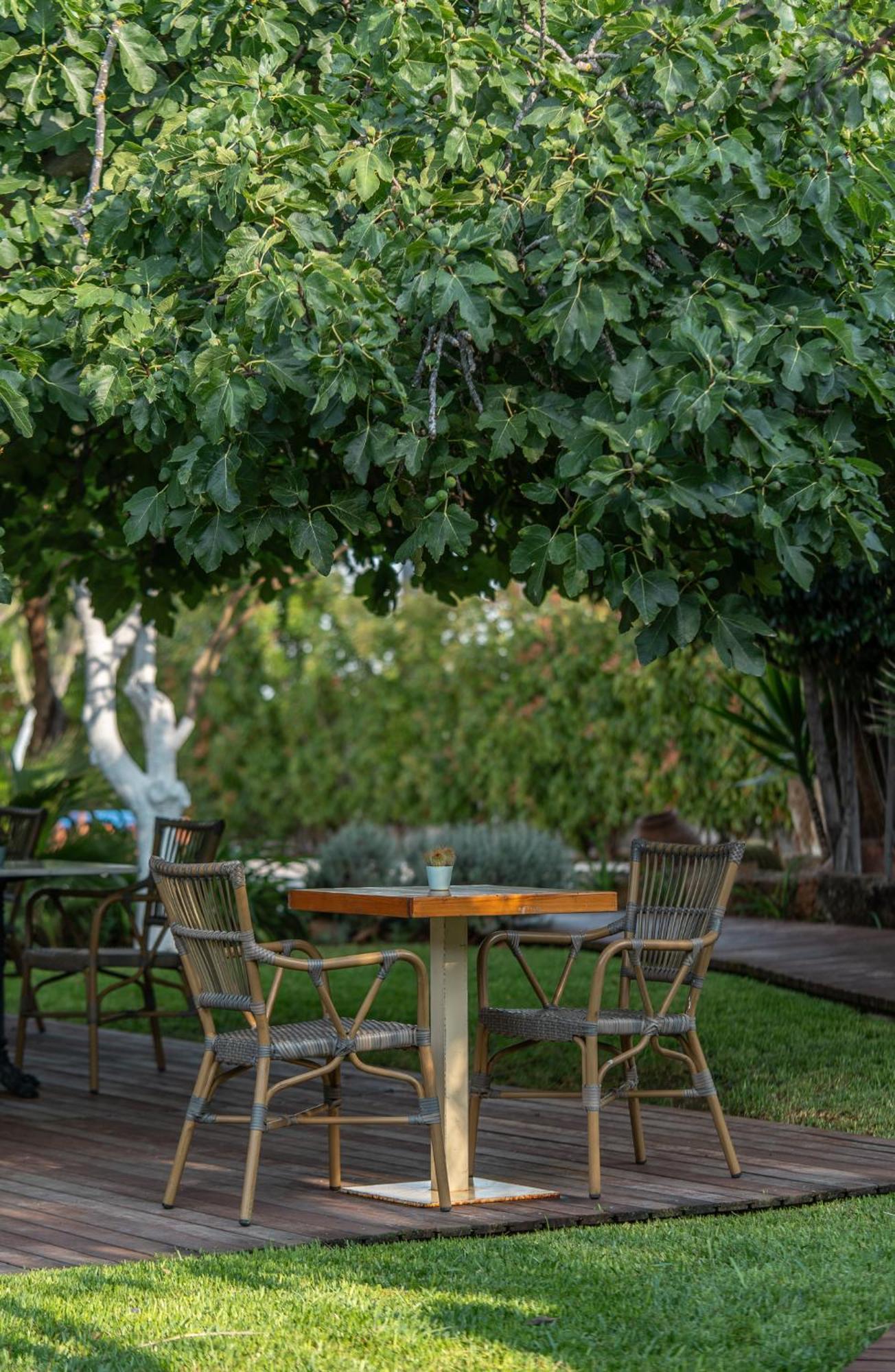 Boho Suites Denia (Adults Only) Eksteriør billede